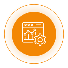 Custom Web Solutions