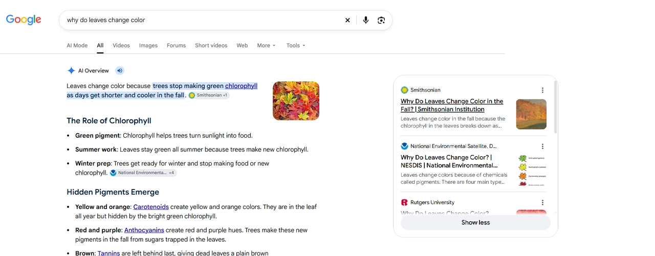 informational search intent